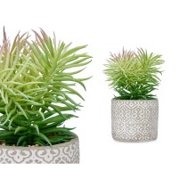Decorative Plant Ibergarden QY-H011 QY-H011 Wood Polyethylene Plastic Cement Succulent 12 x 22 x 12 cm (8 Units)
