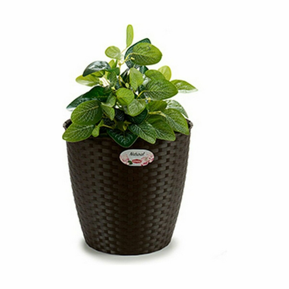 Blumentopf Stefanplast 73482 73482 Kunststoff 29 x 26,5 x 29 cm (6 Stück)