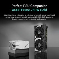 Grafikkarte Asus 90YV0N12-M0NA00 8 GB GDDR7