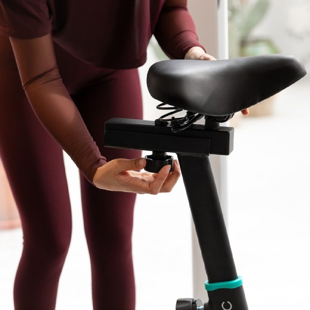 Stationary bike Cecotec DrumFit Indoor 10000 Teseo