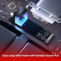 Festplatte Western Digital WDS100T5B0E 1 TB SSD
