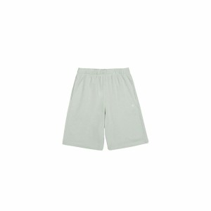 Men's Shorts Champion Long