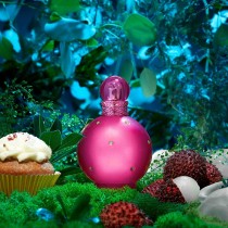 Parfum Femme Britney Spears 140242 EDP 50 ml