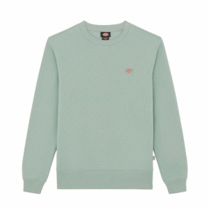 Men’s Sweatshirt without Hood Dickies Oakport Blue Green L