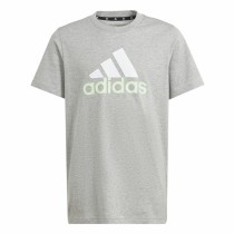 Kurzarm-T-Shirt Adidas Big Logo 2 Grau