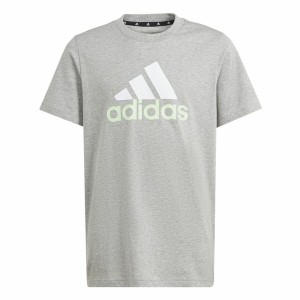 Kurzarm-T-Shirt Adidas Big Logo 2 Grau
