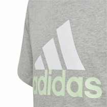 Kurzarm-T-Shirt Adidas Big Logo 2 Grau