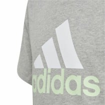 Short Sleeve T-Shirt Adidas Big Logo 2 Grey