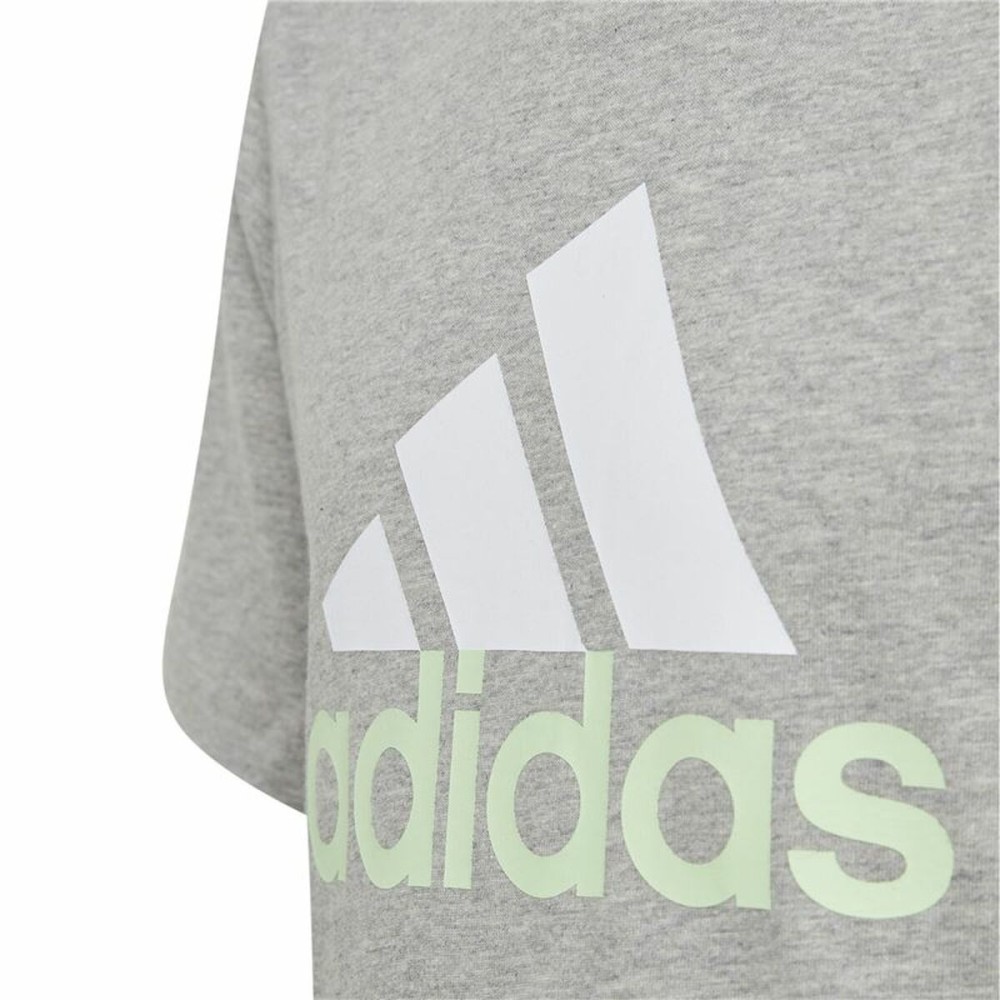 Kurzarm-T-Shirt Adidas Big Logo 2 Grau