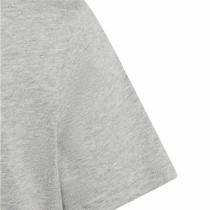 Kurzarm-T-Shirt Adidas Big Logo 2 Grau