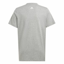 Kurzarm-T-Shirt Adidas Big Logo 2 Grau