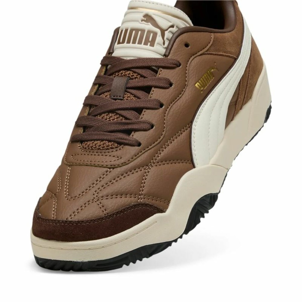 Herren-Sportschuhe Puma Tifosi SD Hellbraun
