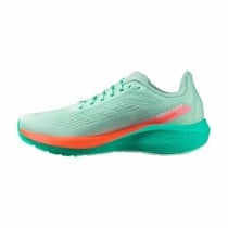 Laufschuhe für Erwachsene Salomon Aero Blaze
