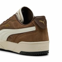 Herren-Sportschuhe Puma Tifosi SD Hellbraun