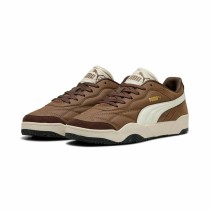 Herren-Sportschuhe Puma Tifosi SD Hellbraun