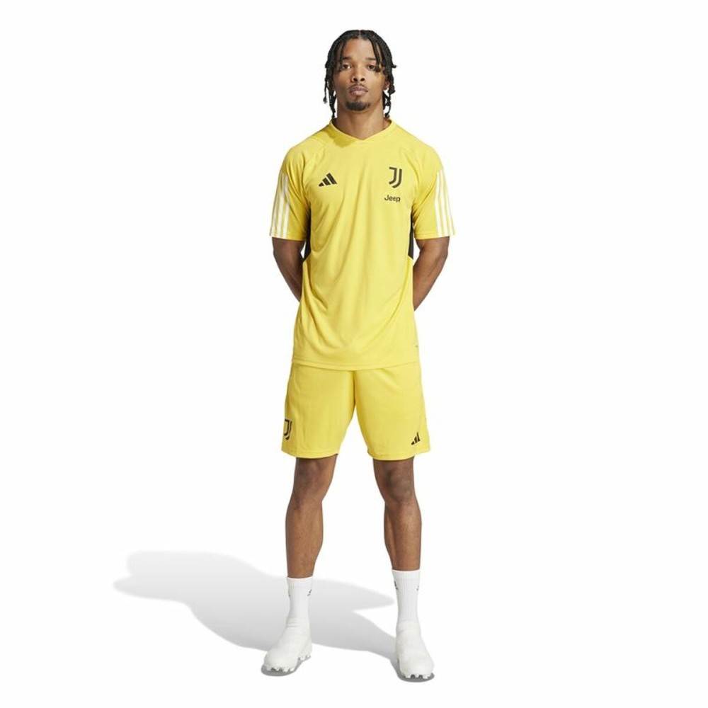 Sport Shorts Adidas Juventus Gelb