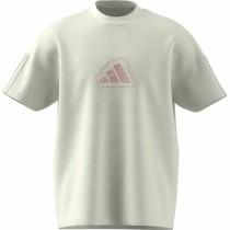Herren Kurzarm-T-Shirt Adidas All Szn Graphic Seasonal Weiß