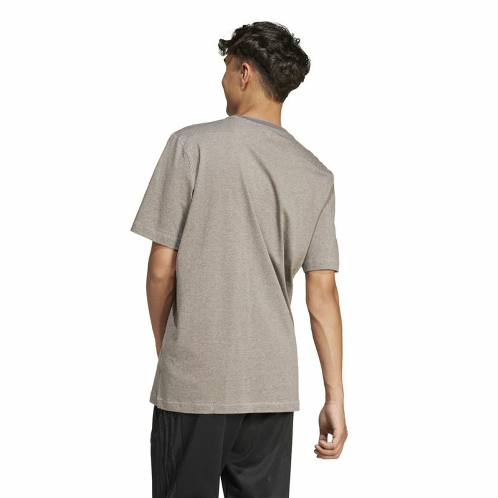 Herren Kurzarm-T-Shirt Adidas Seasonal Essentials Braun Hellgrau