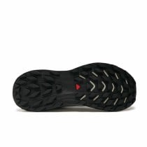 Running Shoes for Adults Salomon Ultra Flow Grey