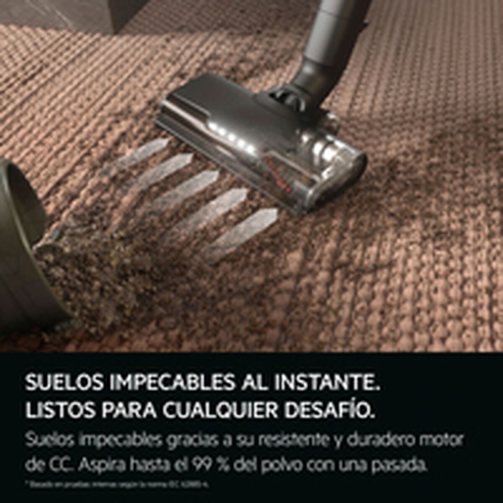 Stick Vacuum Cleaner AEG AP61CB21SH