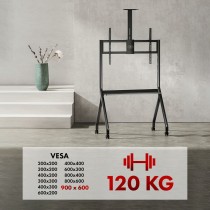 Screen Table Support MacLean MC-114 B 100" 55"