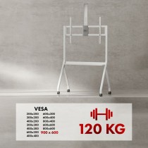 Support de table d'écran MacLean MC-114 W 100" 55"