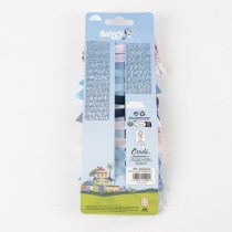 Elastiques pour Cheveux Bluey Multicouleur 10 Pièces