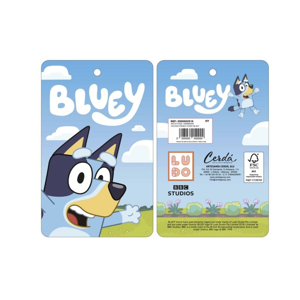 Kleid Bluey Hellblau