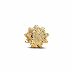 Damenperlen Pandora 764052C00 Gold