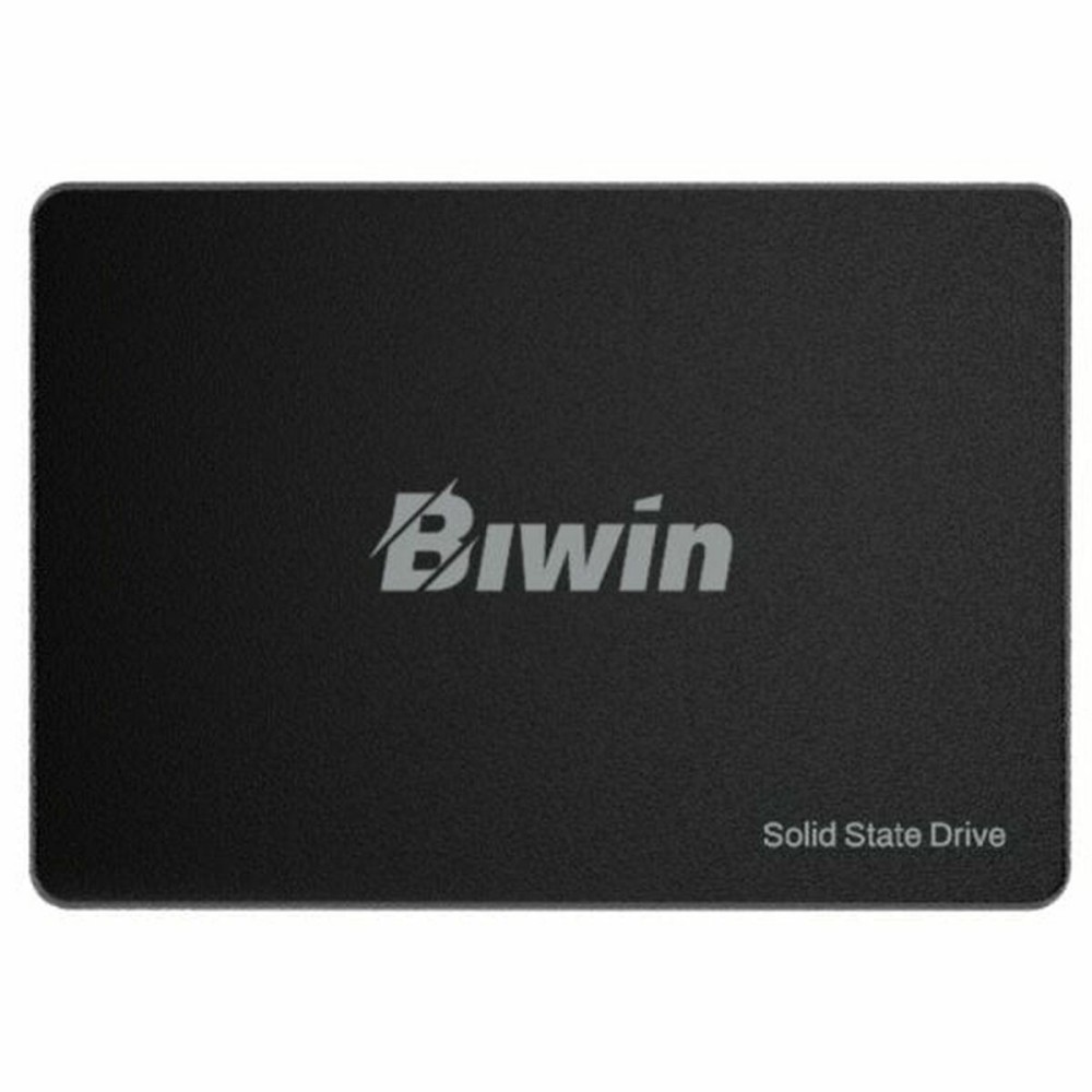 Festplatte Biwin M100 256 GB SSD