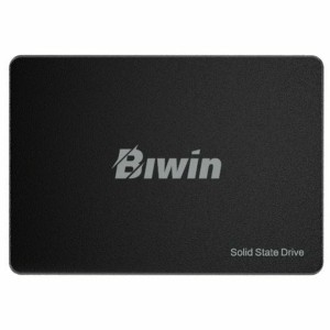 Hard Drive Biwin M100 256 GB SSD