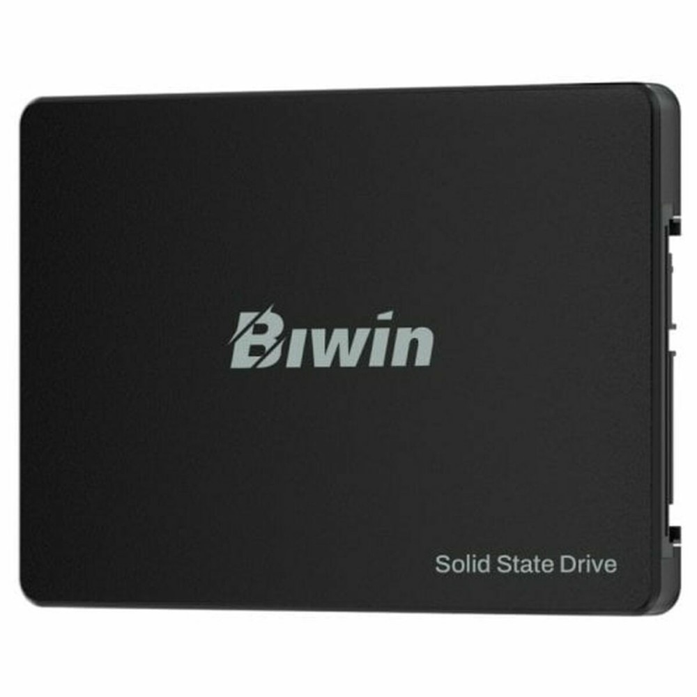 Disque dur Biwin M100 256 GB SSD