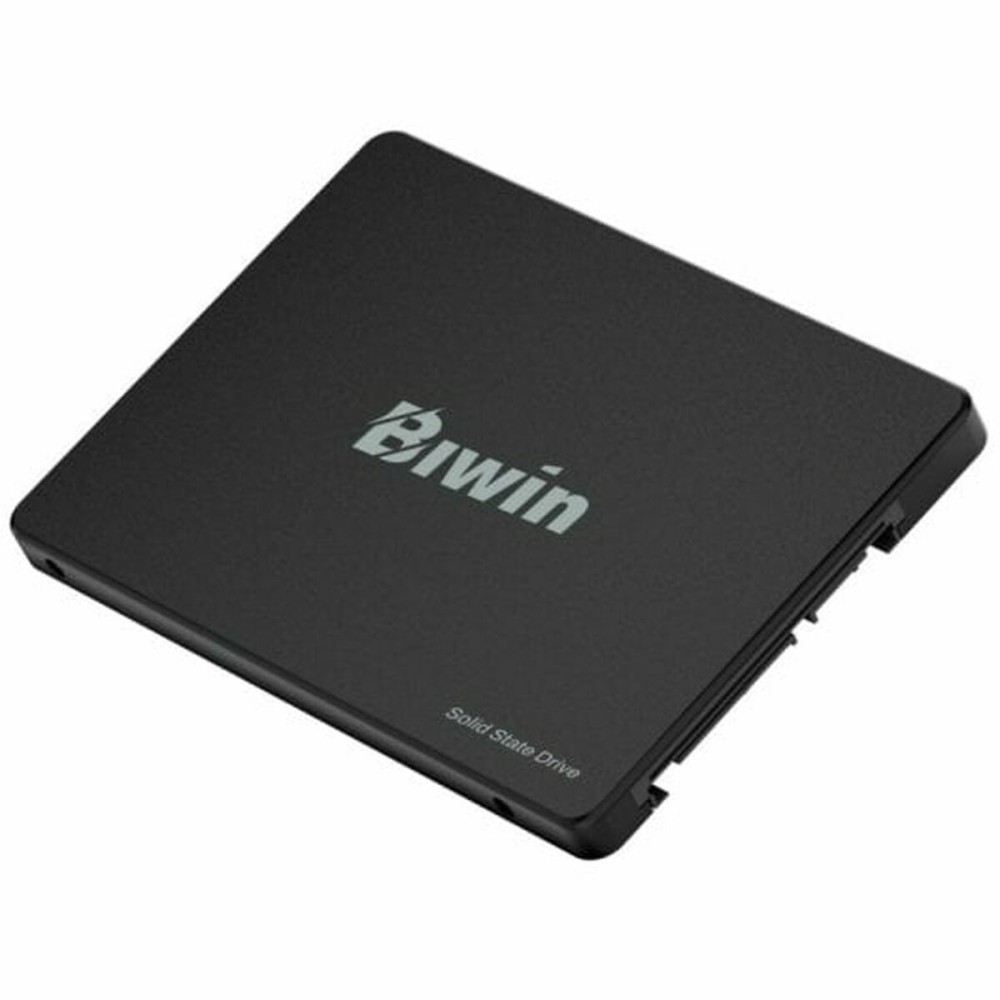 Disque dur Biwin M100 256 GB SSD