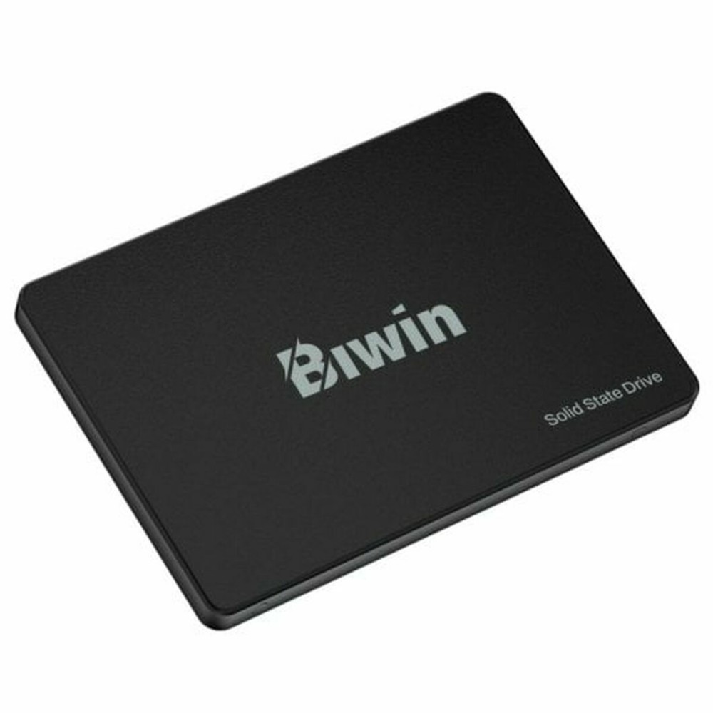 Disque dur Biwin M100 256 GB SSD