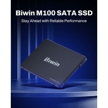 Disque dur Biwin M100 256 GB SSD