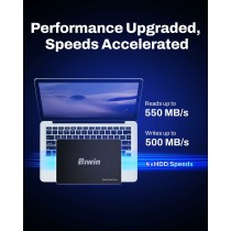 Disque dur Biwin M100 256 GB SSD