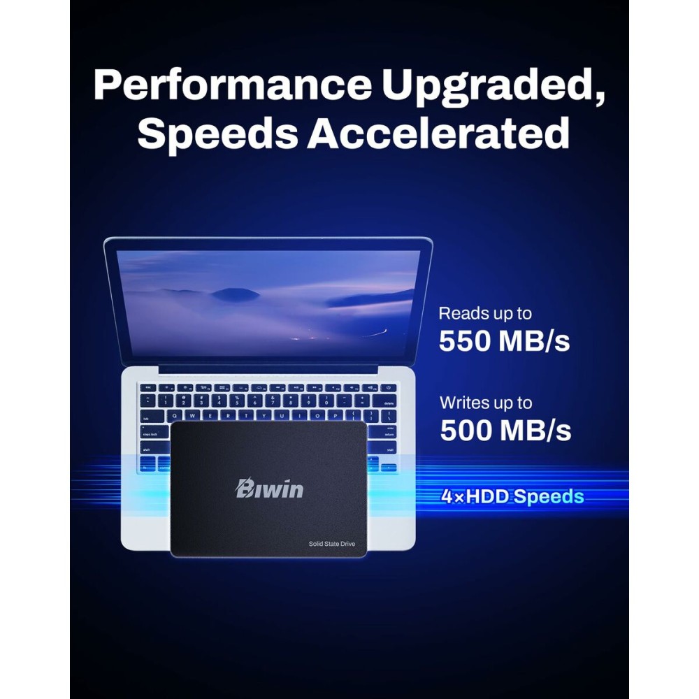 Festplatte Biwin M100 256 GB SSD