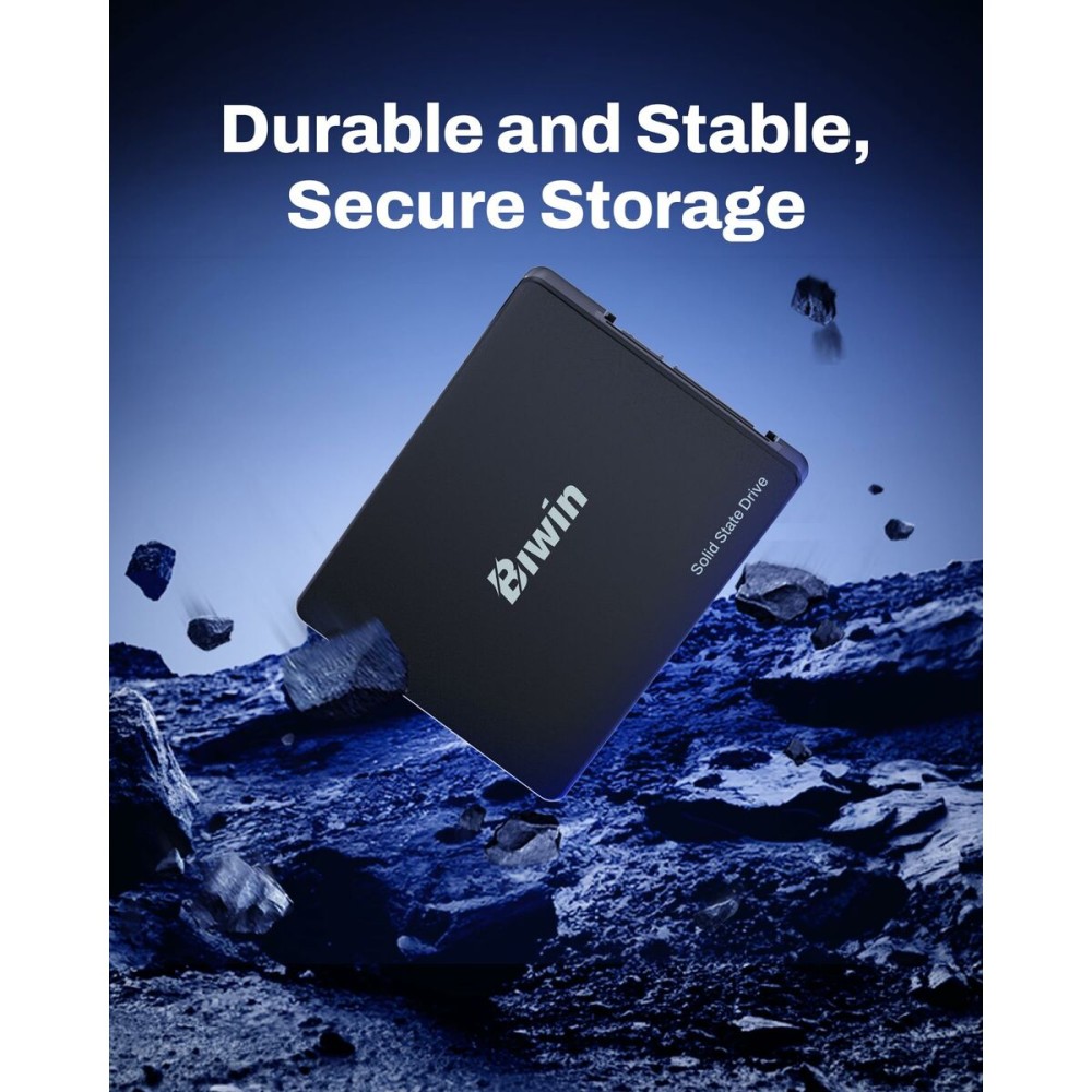 Disque dur Biwin M100 256 GB SSD