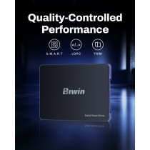 Disque dur Biwin M100 256 GB SSD