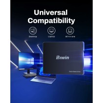 Disque dur Biwin M100 256 GB SSD