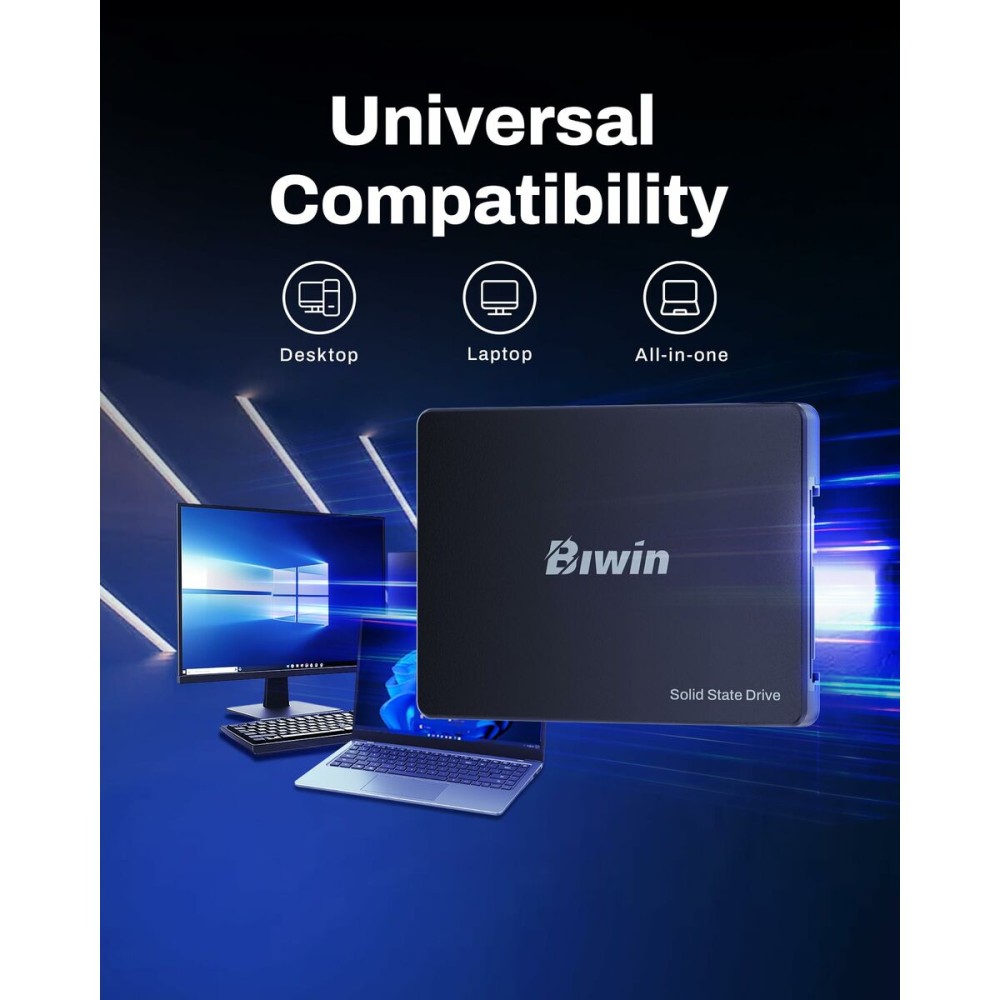 Disque dur Biwin M100 256 GB SSD