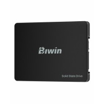 Disque dur Biwin M100 256 GB SSD