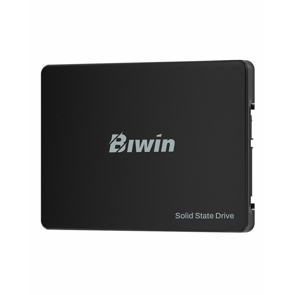 Disque dur Biwin M100 256 GB SSD
