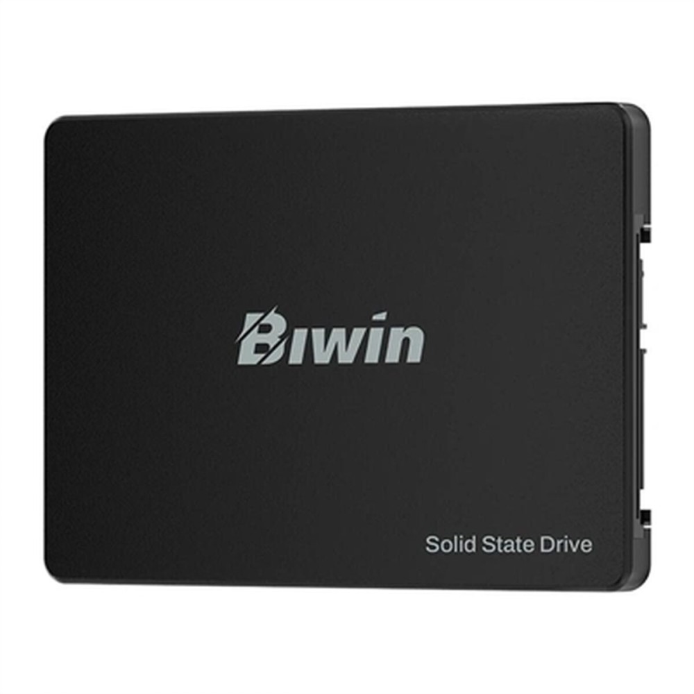 Disque dur Biwin M100 256 GB SSD