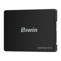 Disque dur Biwin M100 256 GB SSD