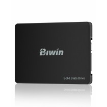 Festplatte Biwin M100 1 TB SSD