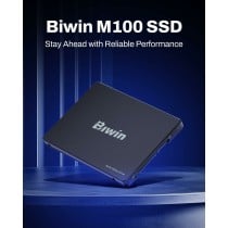 Festplatte Biwin M100 1 TB SSD