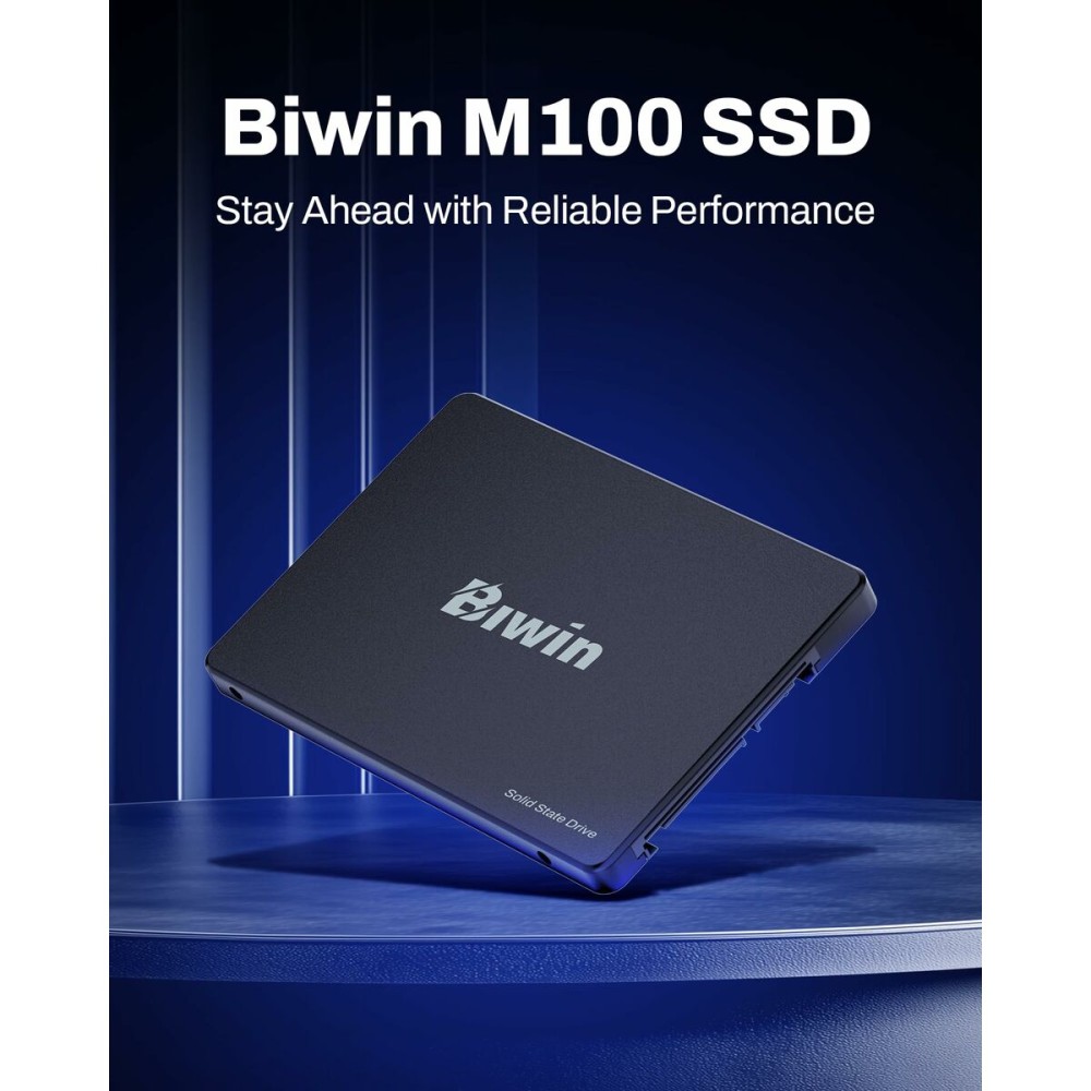 Festplatte Biwin M100 1 TB SSD