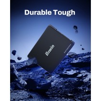 Festplatte Biwin M100 1 TB SSD