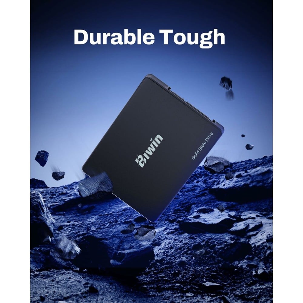 Festplatte Biwin M100 1 TB SSD